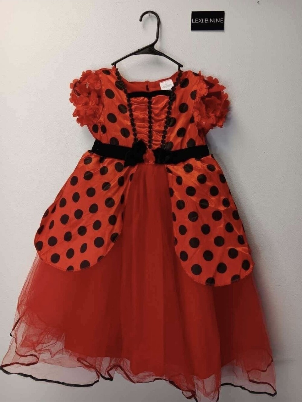 Ladybug Halloween Costume Dress For Sale